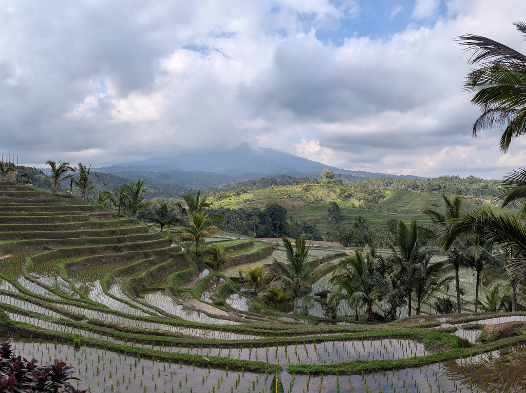Bali Émeraude-吉安雅必去景点
