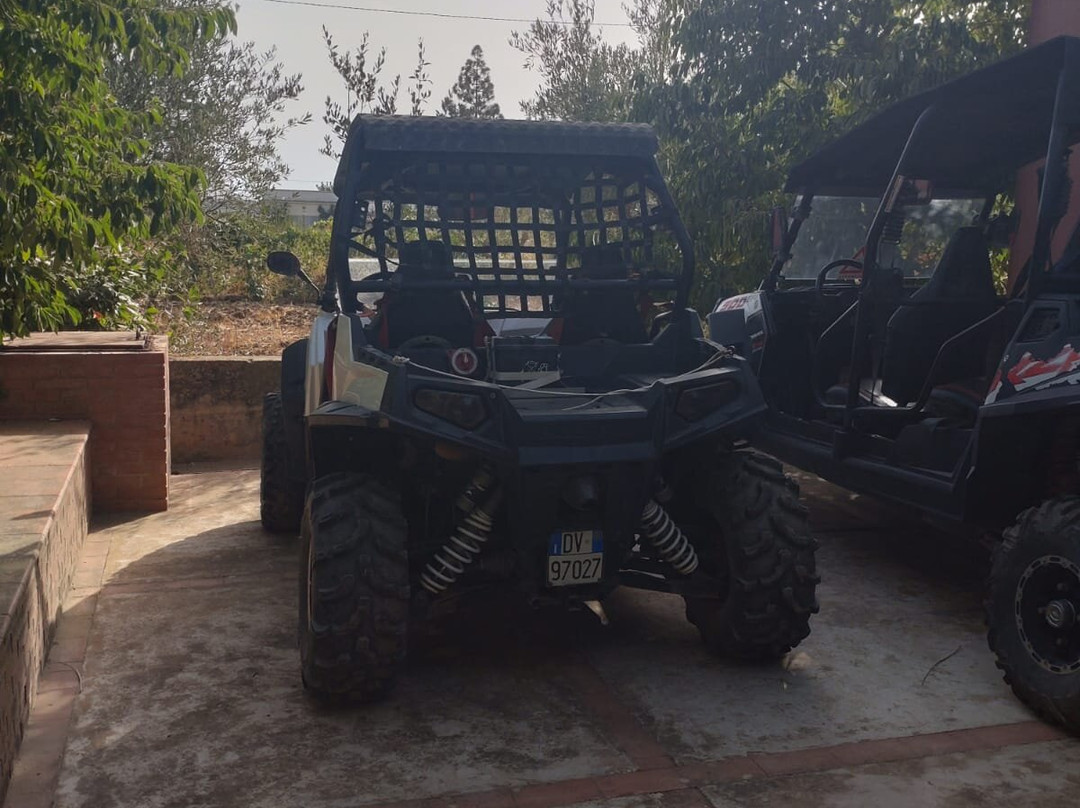 Segesta Tour 4x4-戈尔福海堡必去景点