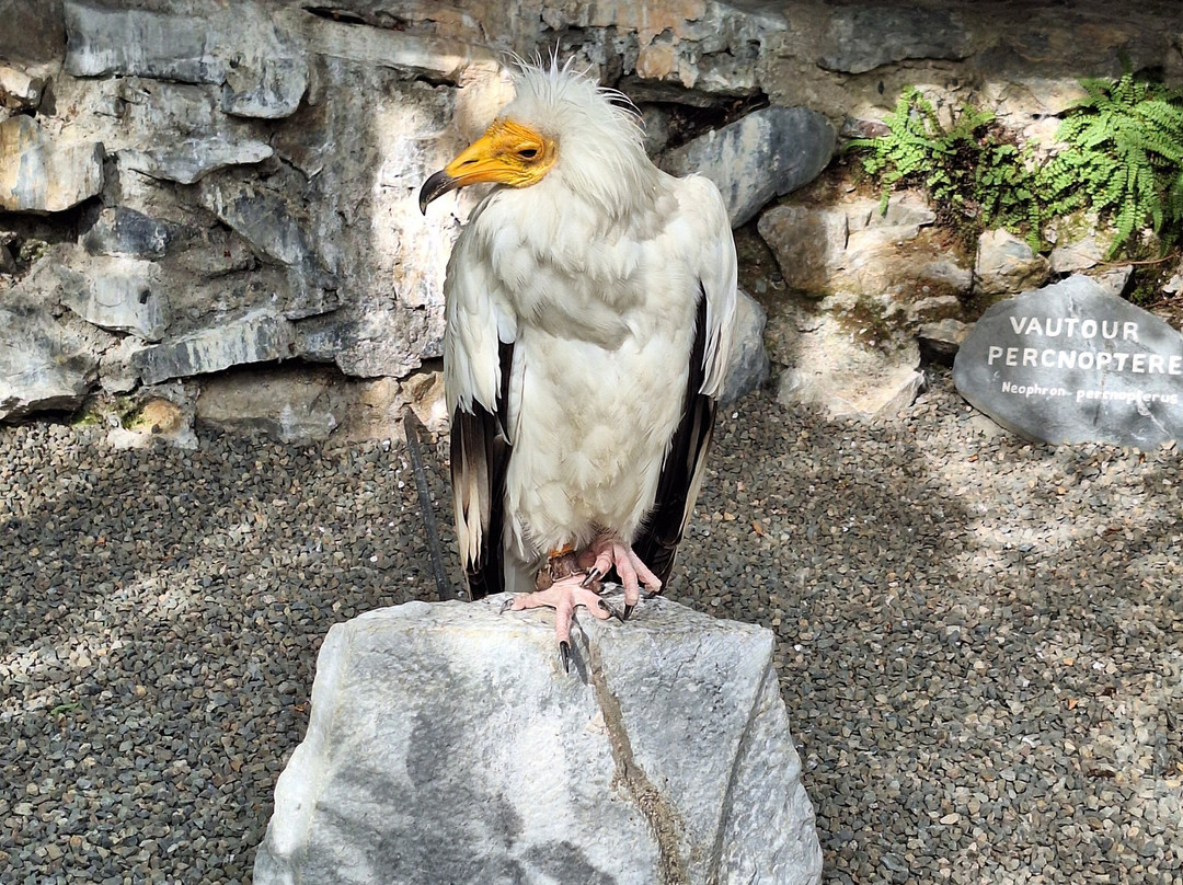 Dungeon of Eagles-Beaucens必去景点