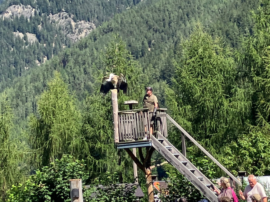 Greifvogelpark-Umhausen必去景点