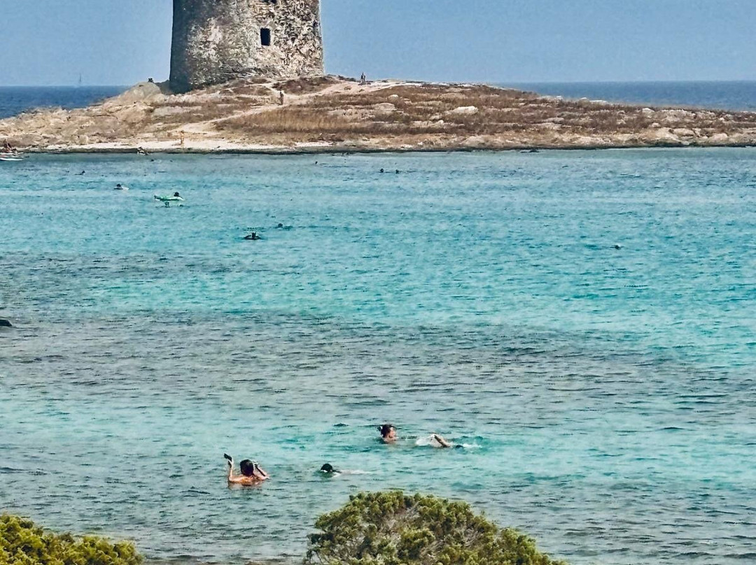 La Pelosa Beach-斯廷蒂诺必去景点