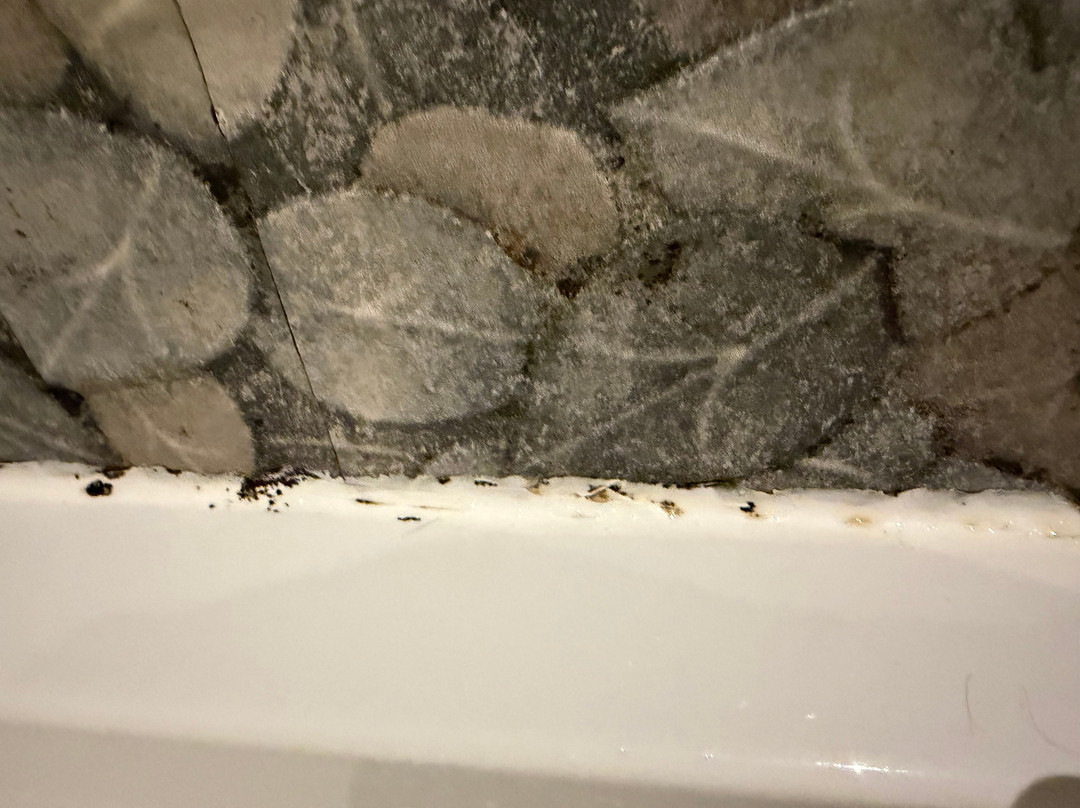 克里斯蒂娜女王酒店主图