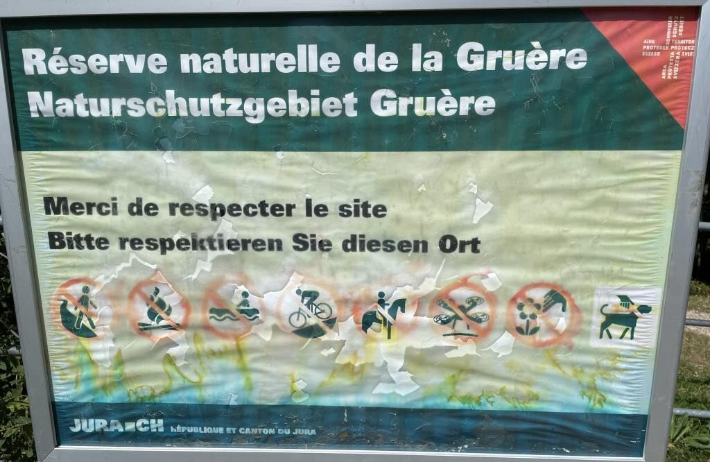 Etang de la Gruère-Saignelégier必去景点