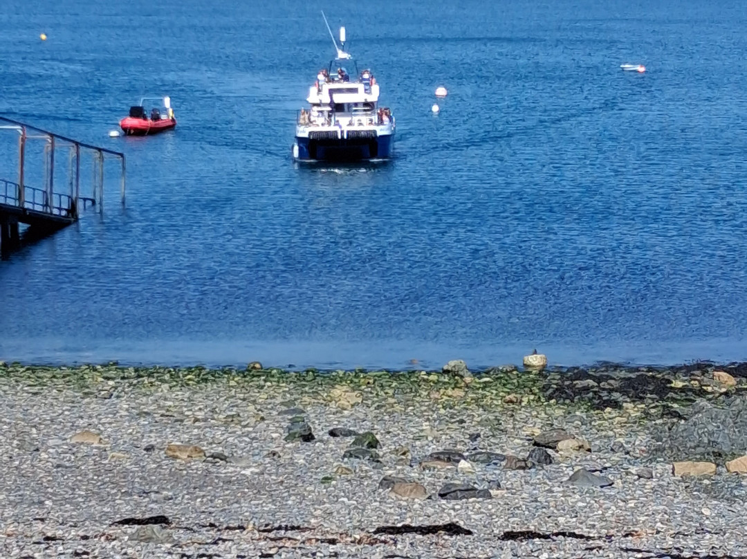 Pembrokeshire Islands Boat Trips-Marloes必去景点