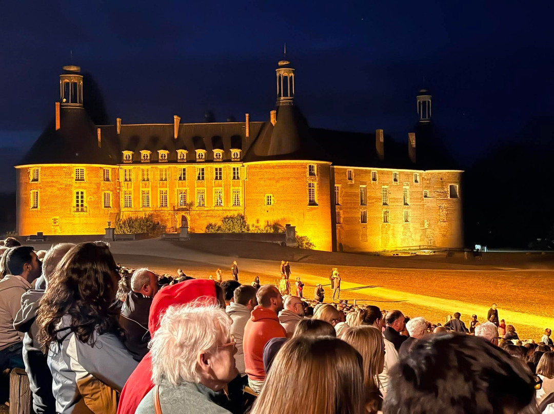 Château de Saint-Fargeau-Saint-Fargeau必去景点