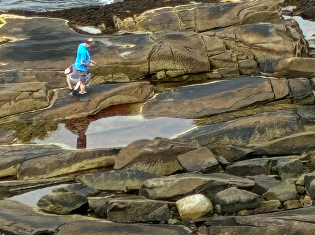 Halibut Point State Park-罗克波特必去景点