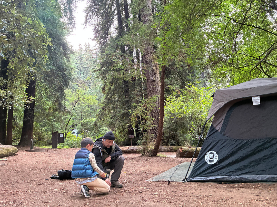 Samuel P. Taylor State Park-Lagunitas必去景点