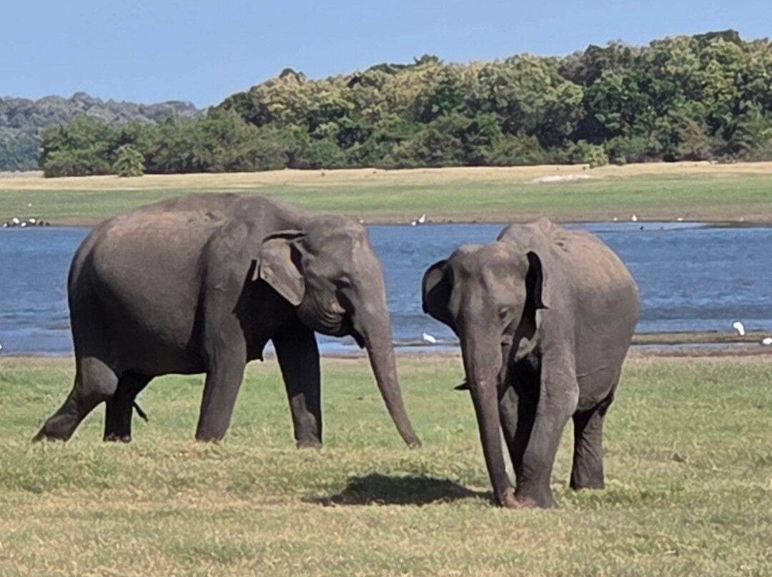 See Sri Lanka Tours-康提必去景点