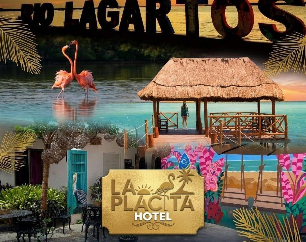 里奥拉加托斯酒店住宿-Hotel La Placita