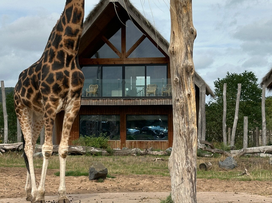 Safari Lodges At West Midlands Safari Park主图