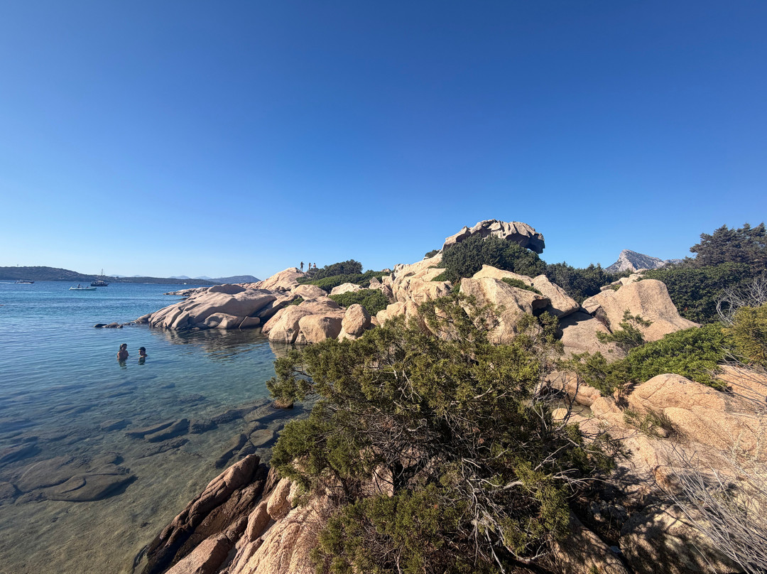 Spiaggia Delle Vacche-Baia Sardinia必去景点