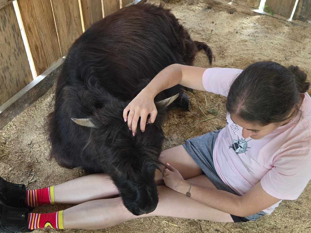 Blessing Creek Farms