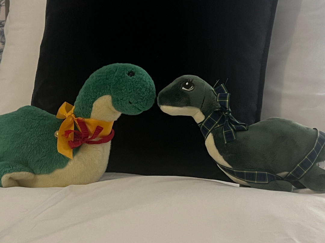 The Loch Ness Experience-德拉姆纳德罗希特必去景点