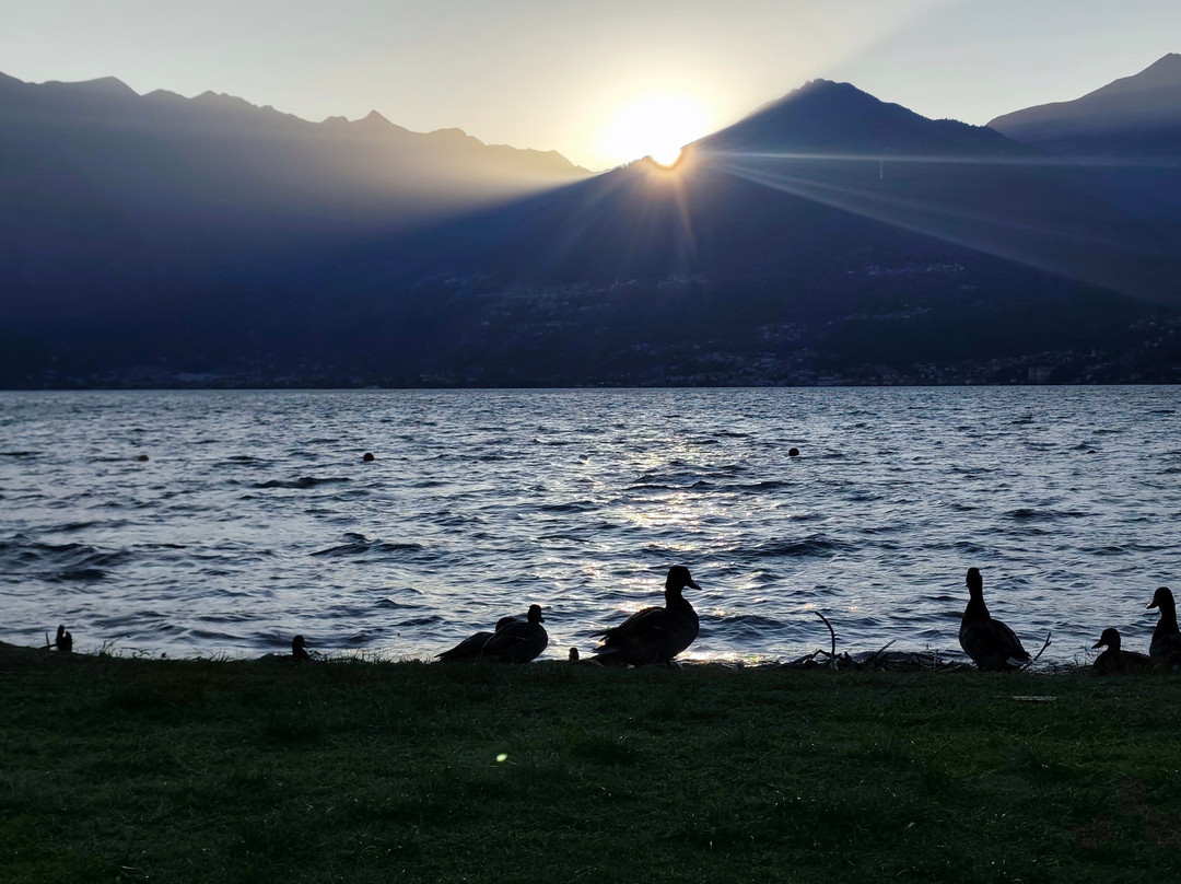 Seven Park Hotel Lake Como - Adults Only