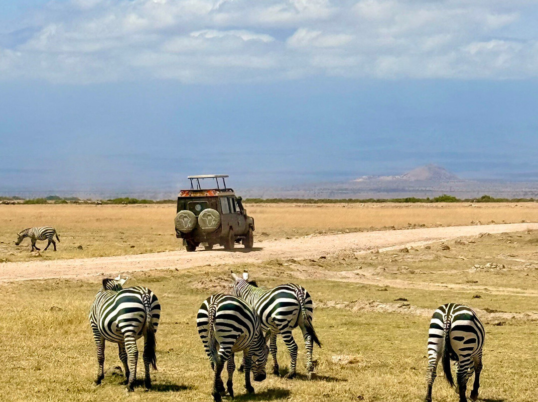Safari Kenya Plus - Private Day Tour-马林地必去景点