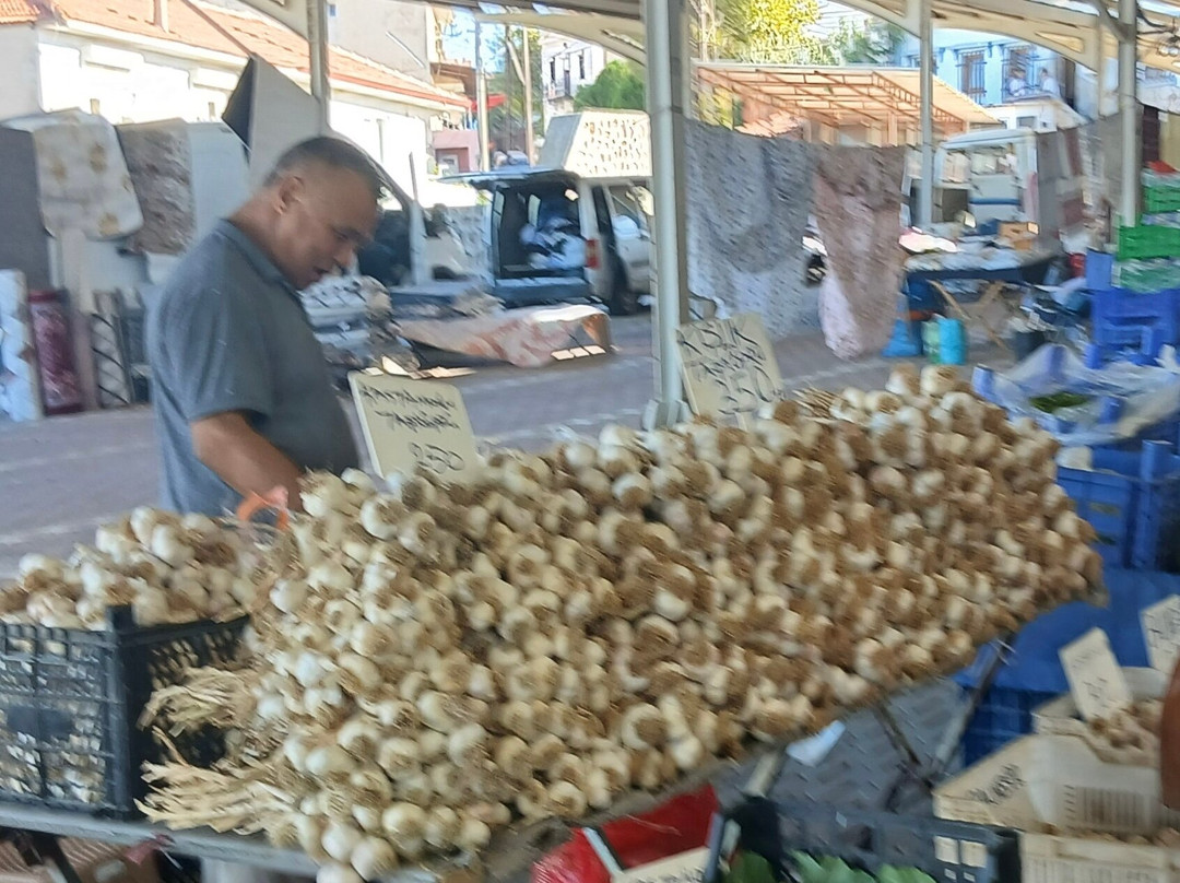 Karaağaç Pazarı-Ayvalik必去景点