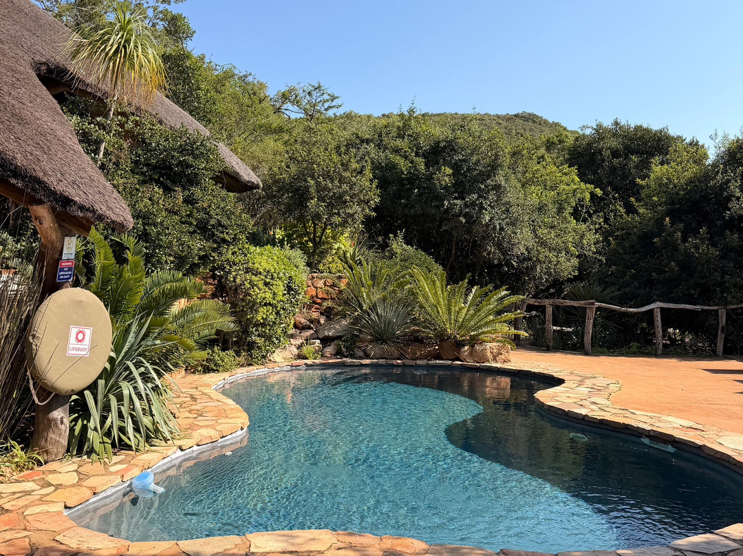 Lalibela Wildlife Reserve Mark's Camp Family Lodge主图