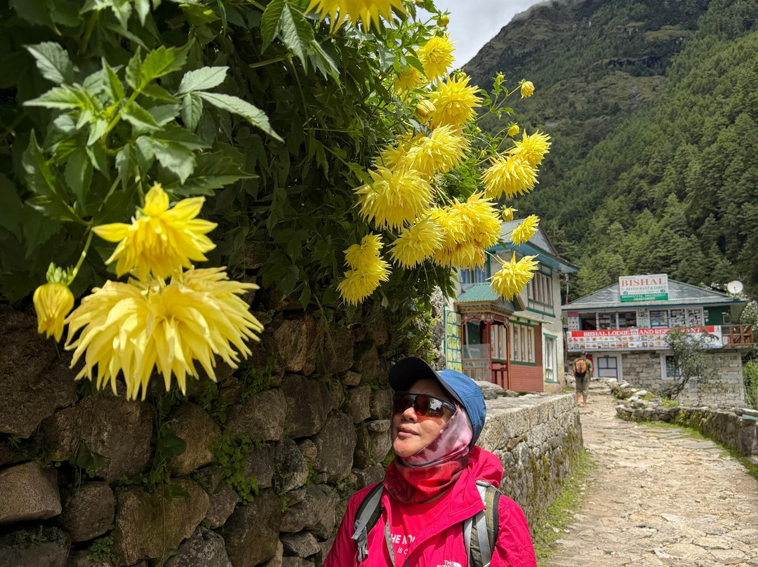 Mountain World Treks - Day Tours-加德满都必去景点