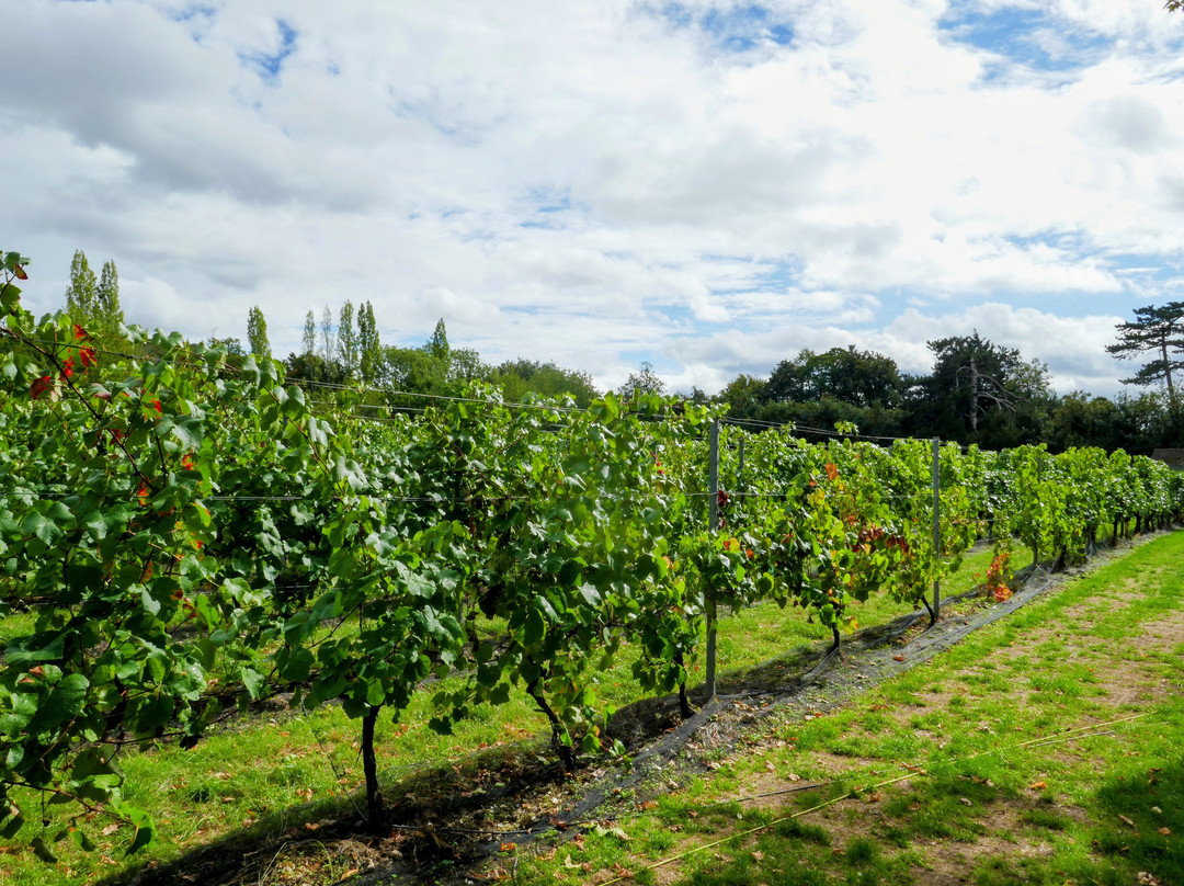 The Mount Vineyard-Shoreham必去景点