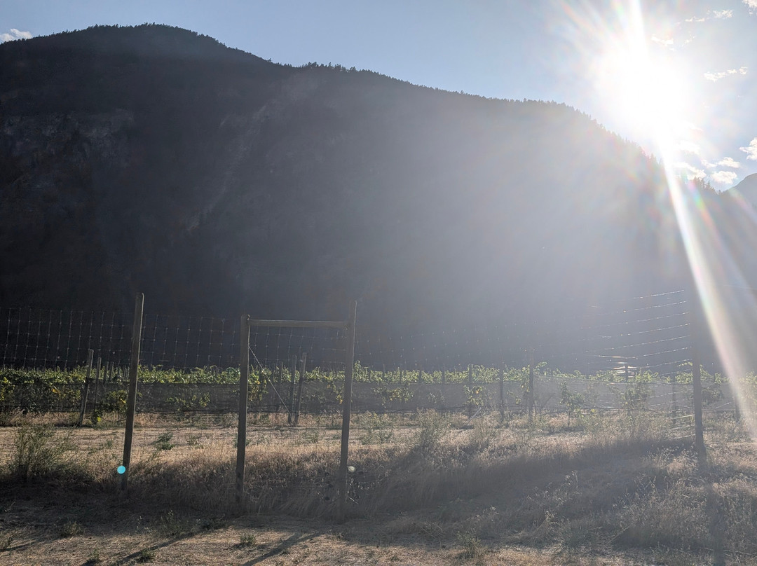 Cliff and Gorge Vineyards-Lillooet必去景点