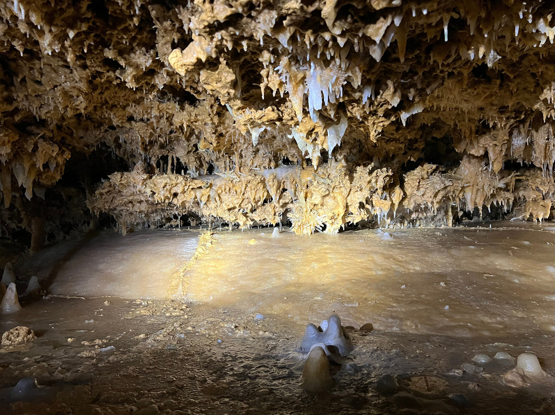 Grotte du Grand Roc-Les Eyzies-de-Tayac-Sireuil必去景点