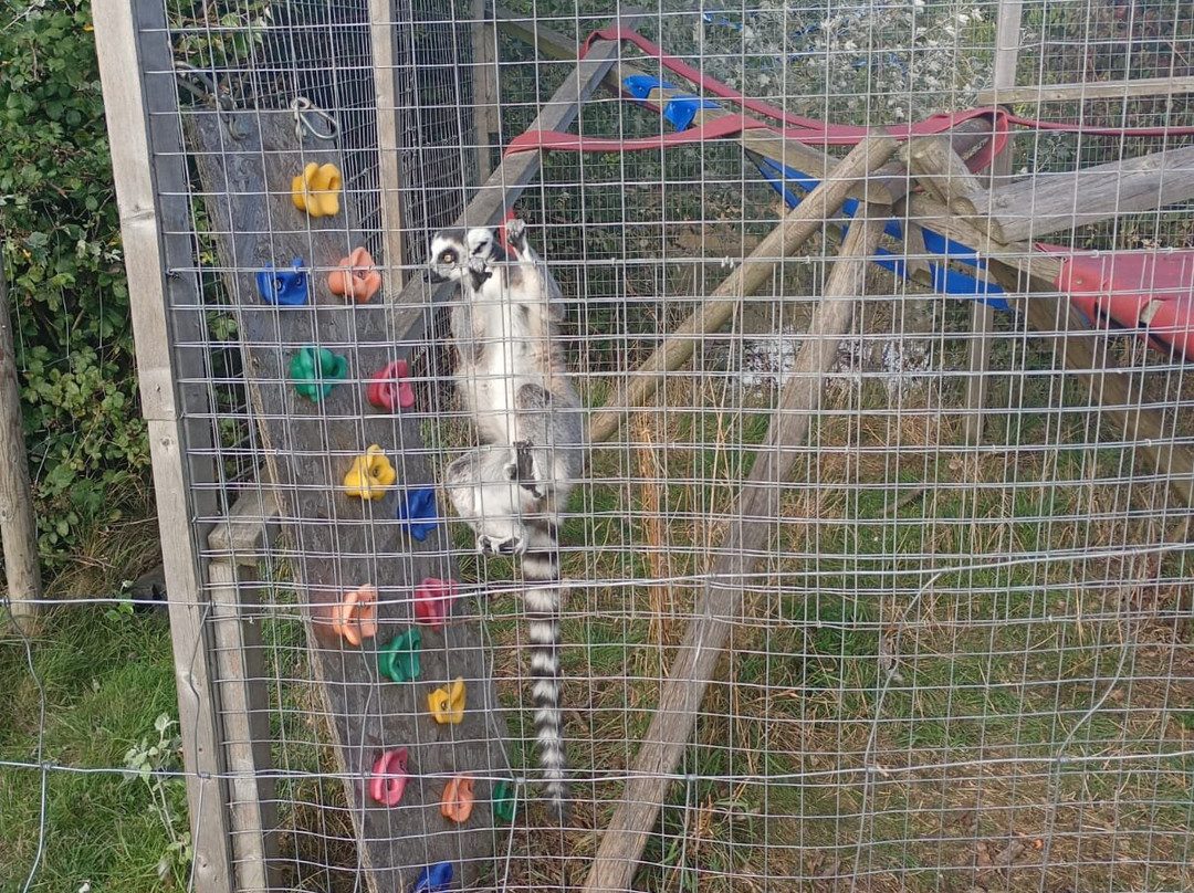 Ark Wildlife Park & Exotic Animal Sanctuary-Stickney必去景点