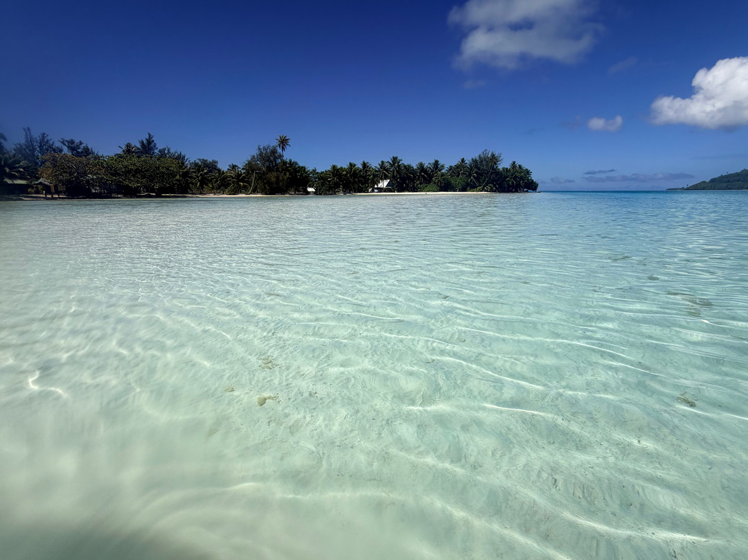 Huahine Dream Tours-Huahine必去景点