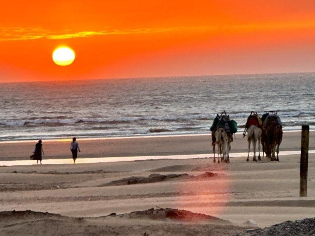 Moroccan Safaris Travel-非斯必去景点