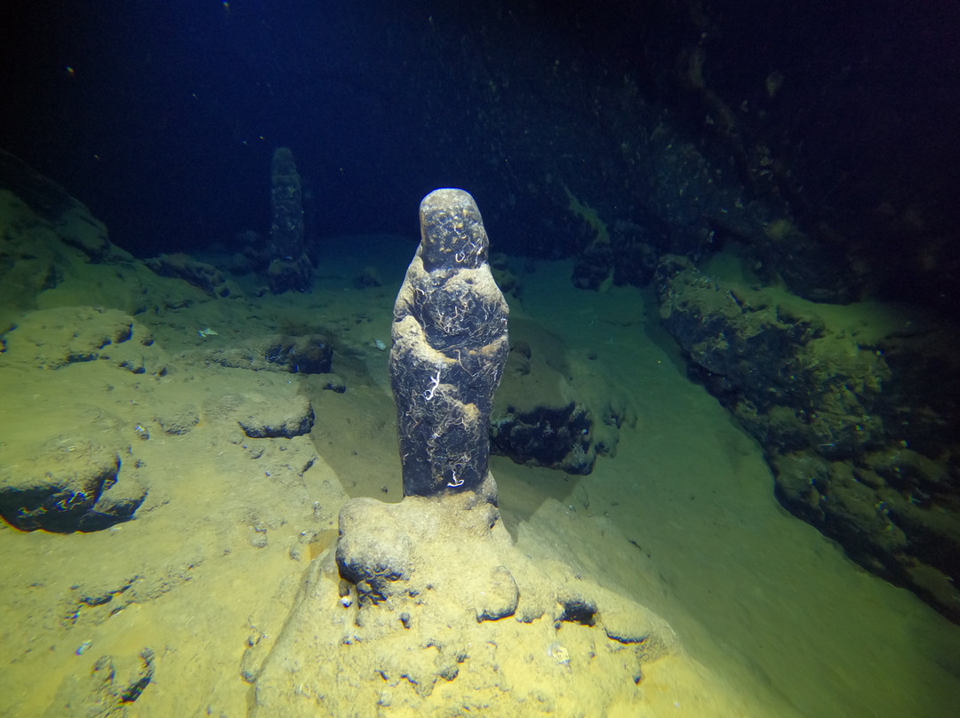 Blu Tek Diving-Marettimo必去景点