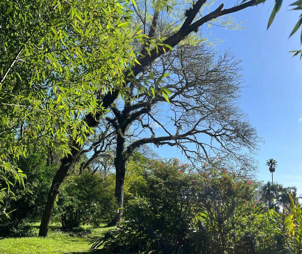 Jardim Botânico-阿雷格里港必去景点