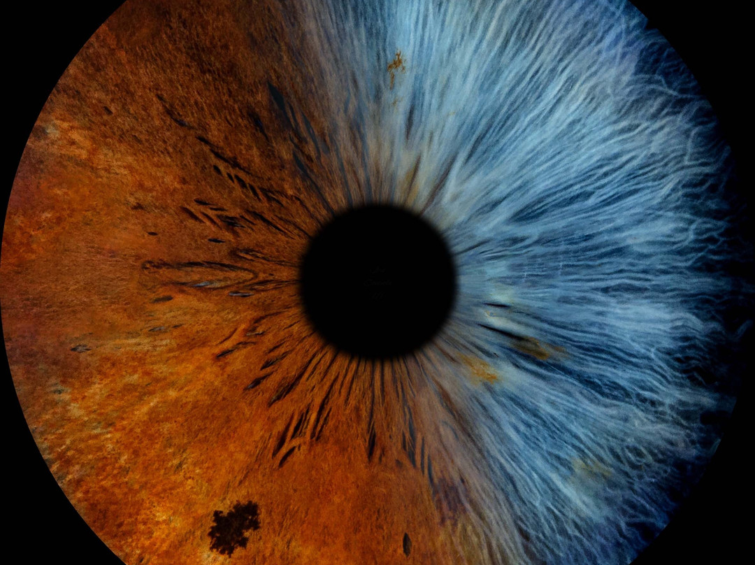 Iris Galerie Maastricht-马斯特里赫特必去景点