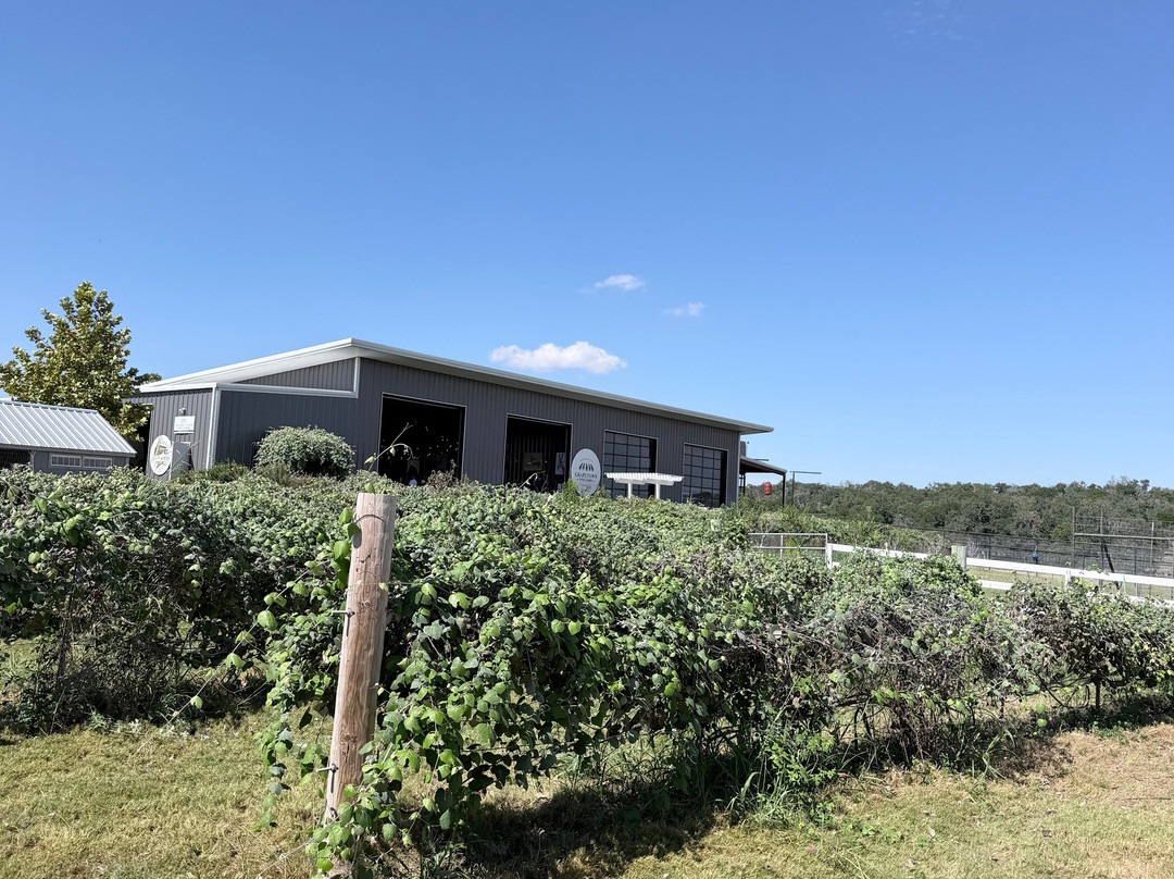 Giraffe Winery at Grapetown Vineyard-弗雷德里克斯堡必去景点