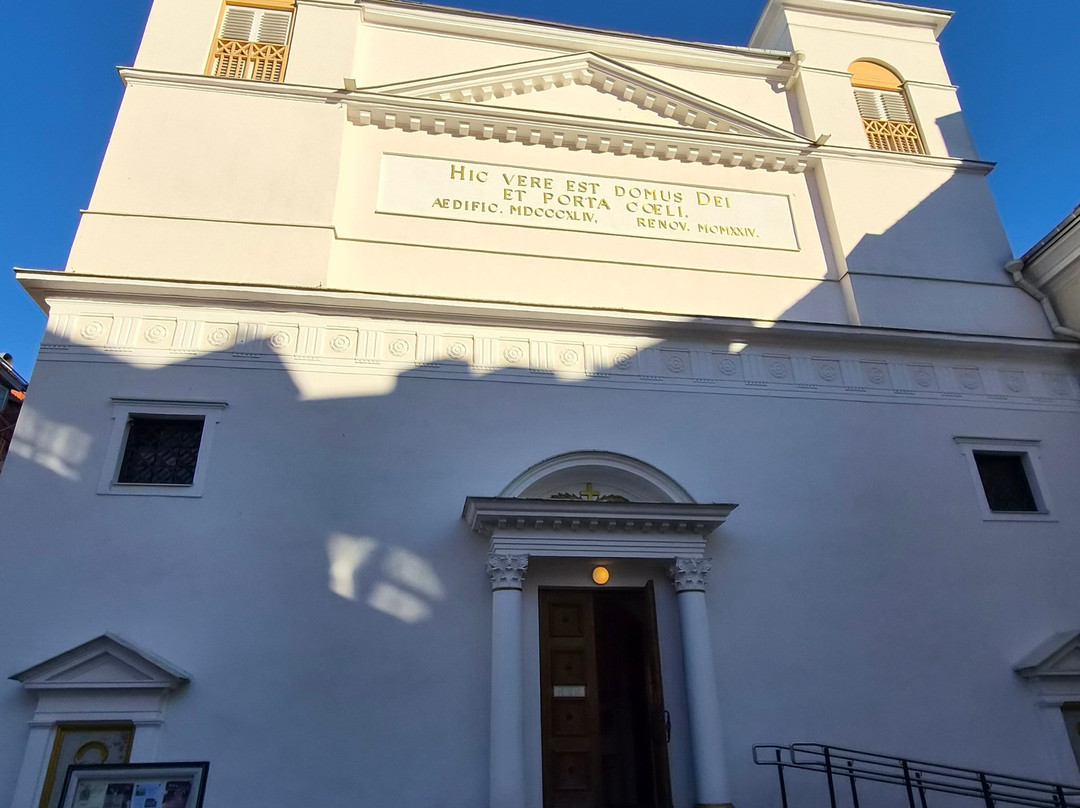Catholic Cathedral of St Peter & St Paul-塔林必去景点