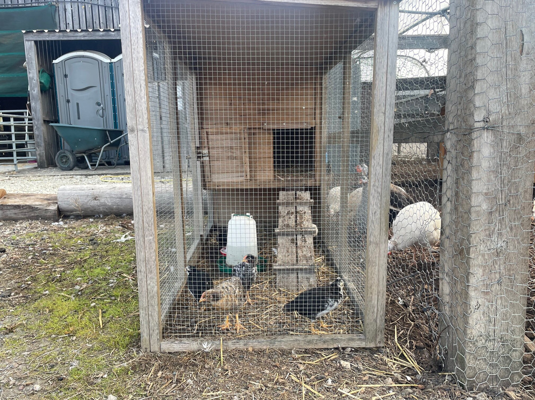 Roundoak Farm-Sutton Valence必去景点