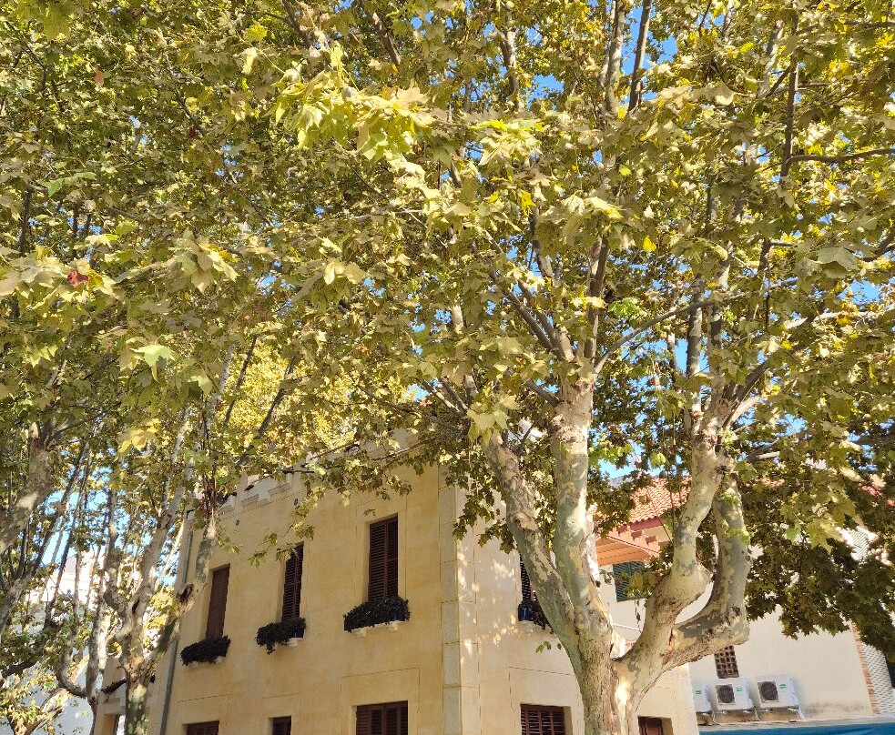 Salou Old Town-萨洛必去景点