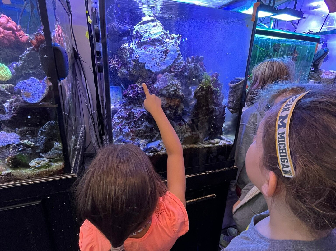 Deep Blue Aquarium Tour-安娜堡必去景点