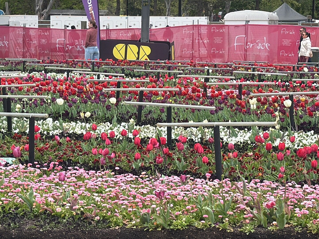 Floriade-堪培拉必去景点