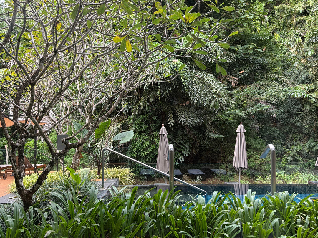 Rainforest Spa-Ko Chang必去景点