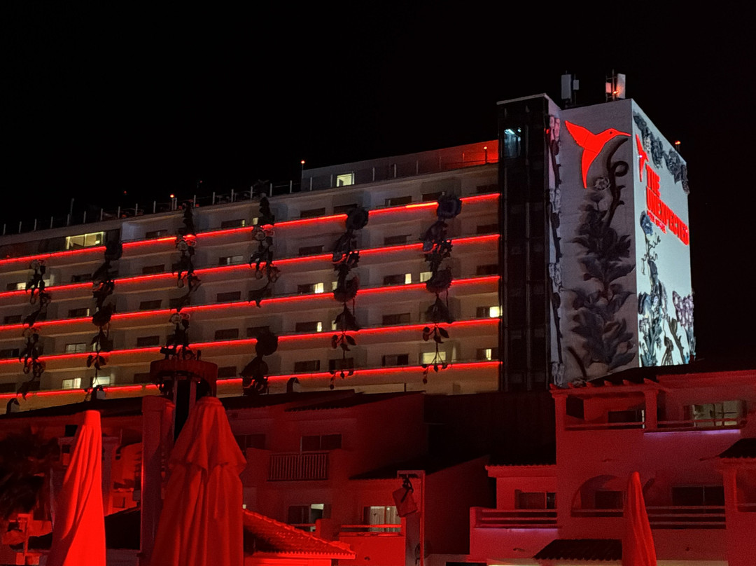 Ushuaïa Ibiza-博萨海滩必去景点