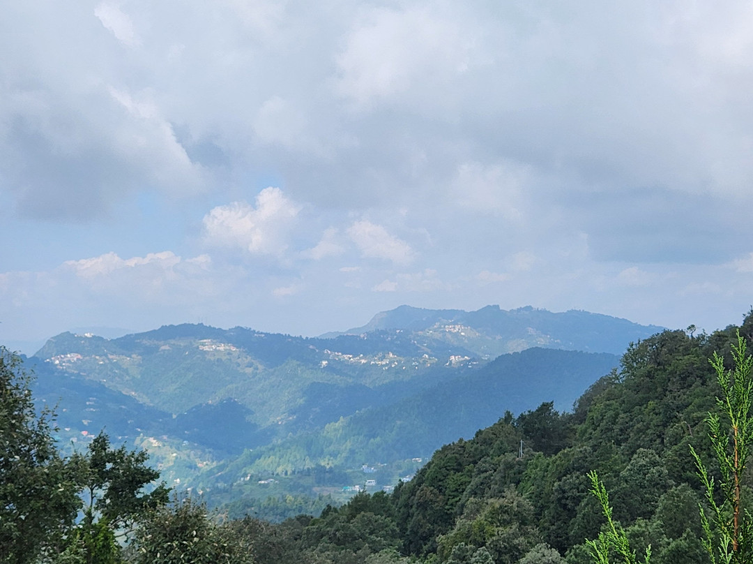 Te Aroha By Shervani主图