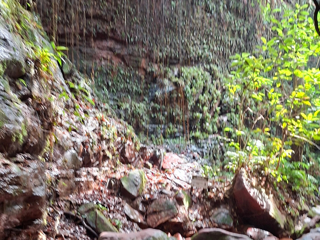 Jalapão 100 Limites-Mateiros必去景点