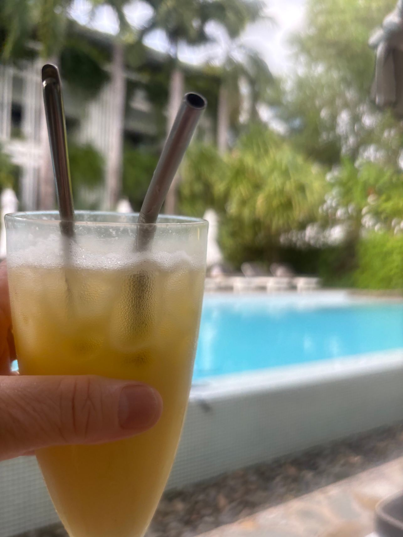 维鲁斯酒店-旅行者
