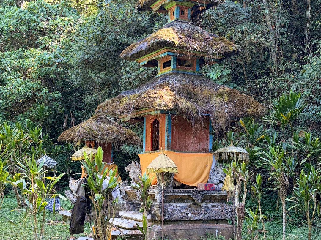 Bali Local Tour Guide-Buleleng必去景点