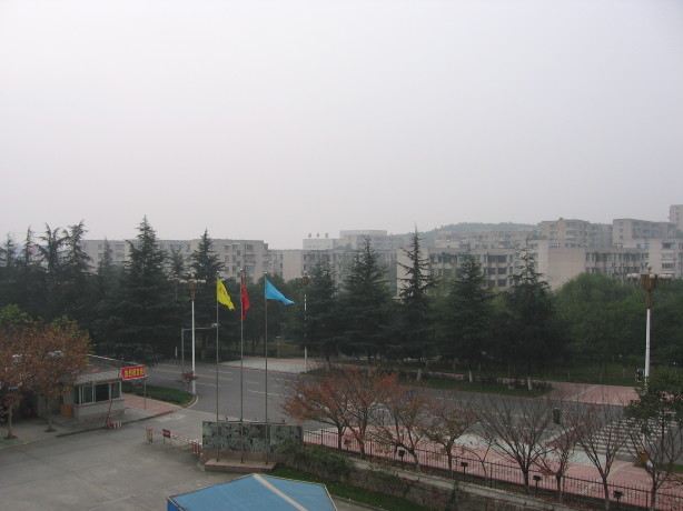 科学城九龙宾馆-客卧