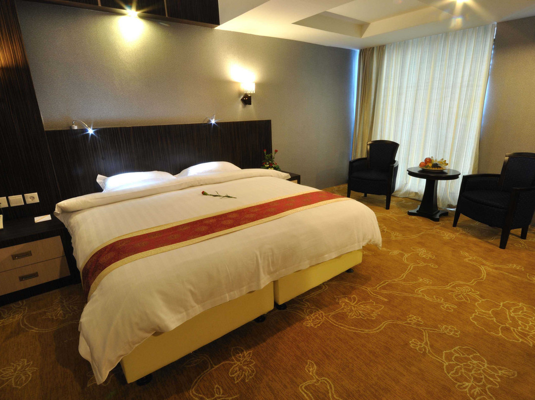Hermes Palace Hotel Medan主图