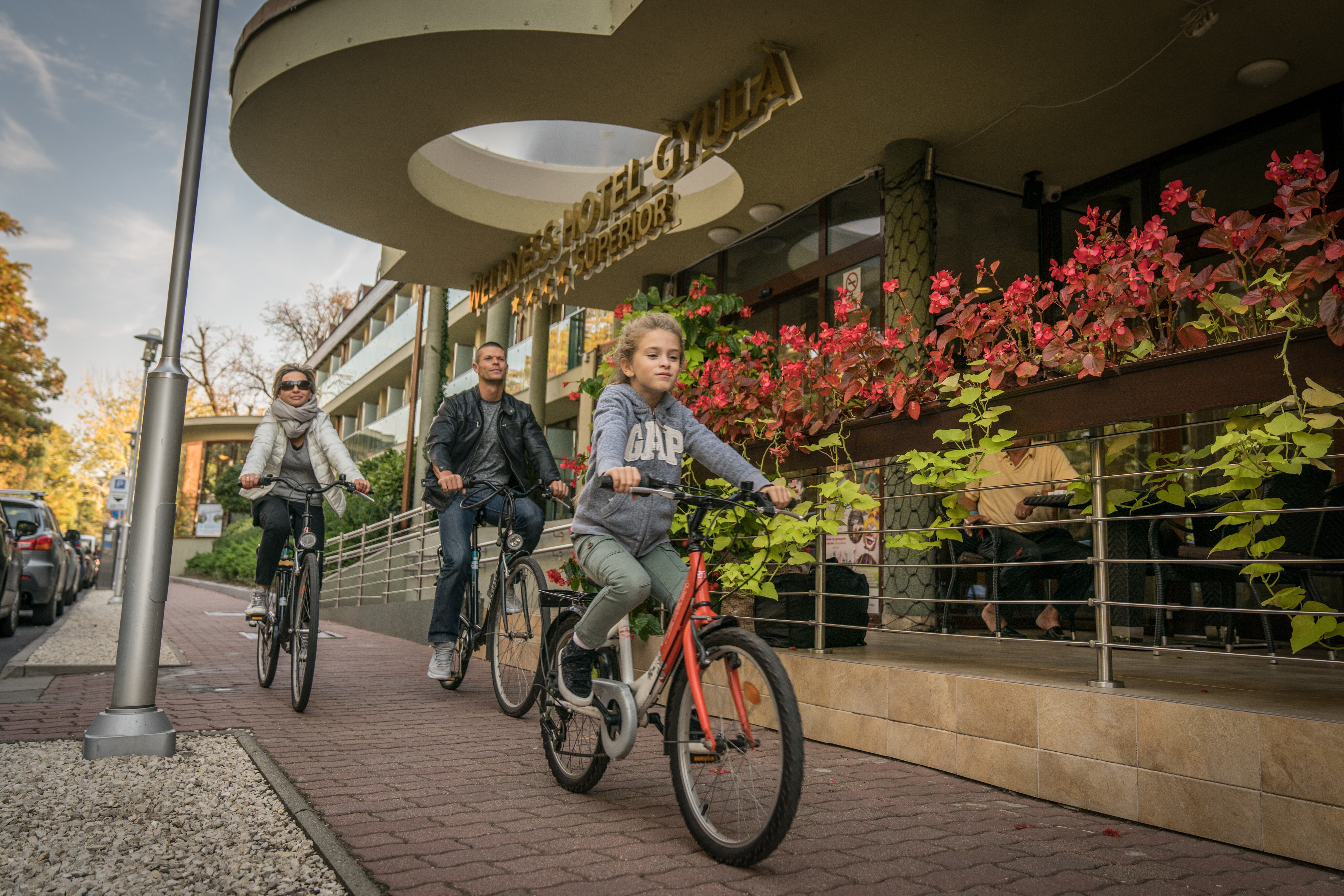 Wellness Hotel Gyula-官方