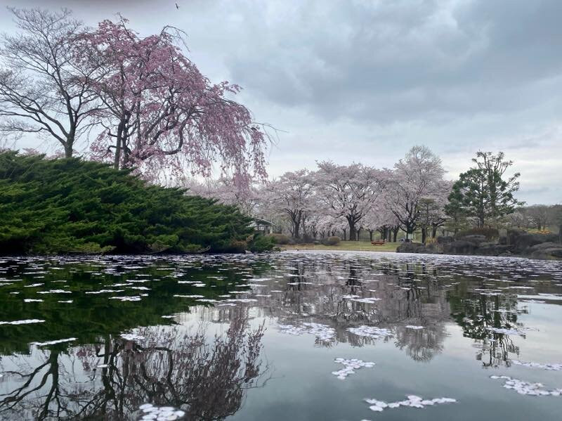Nakagawa Riverside Park-那须盐原市必去景点