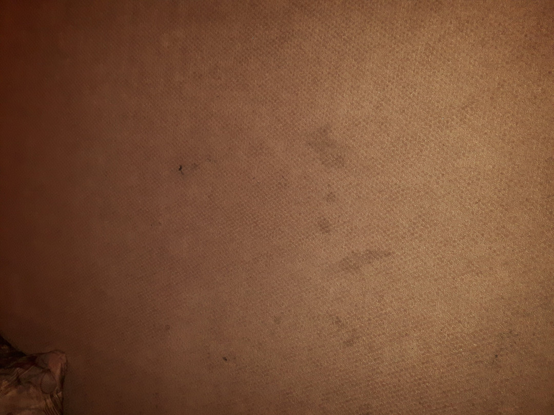 Western Budget Motel Grand Prairie #1