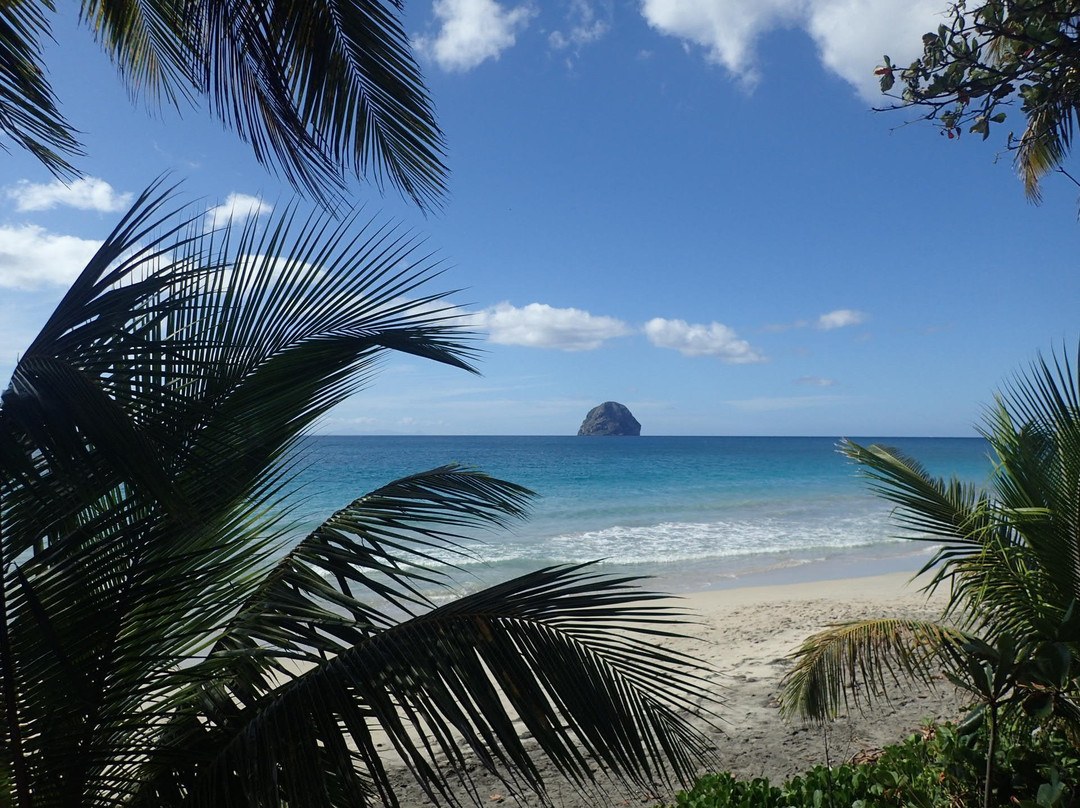 Reve Bleu Ecrin Bleu