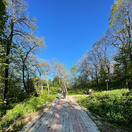 Action Park Tsaghkadzor-Tsakhkadzor必去景点